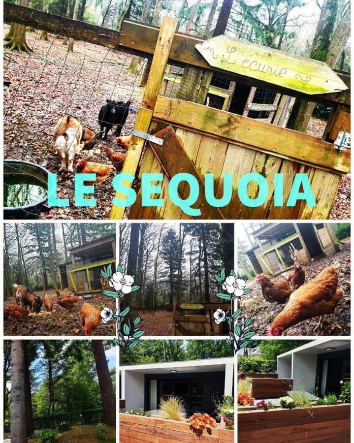 Le Sequoia Apartment Saint-Sebastien-sur-Loire Ngoại thất bức ảnh