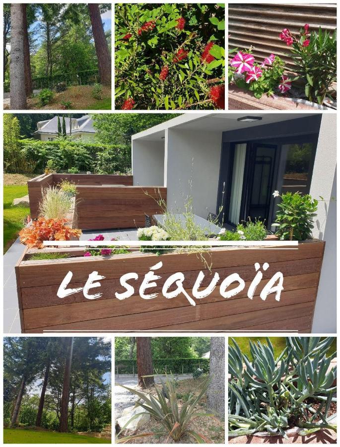 Le Sequoia Apartment Saint-Sebastien-sur-Loire Ngoại thất bức ảnh